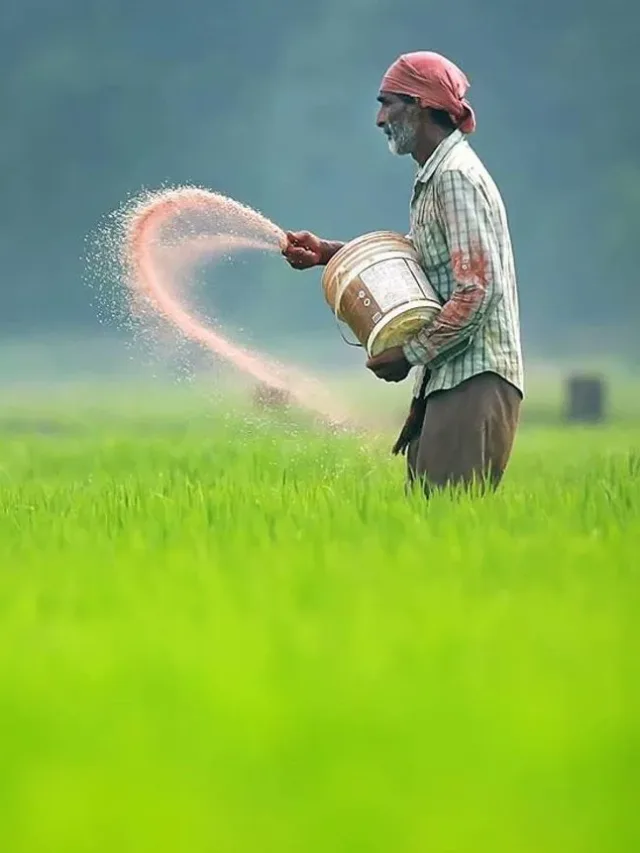 A day in the life of a farmer_